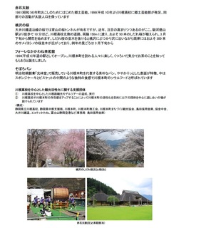 地元2.jpg